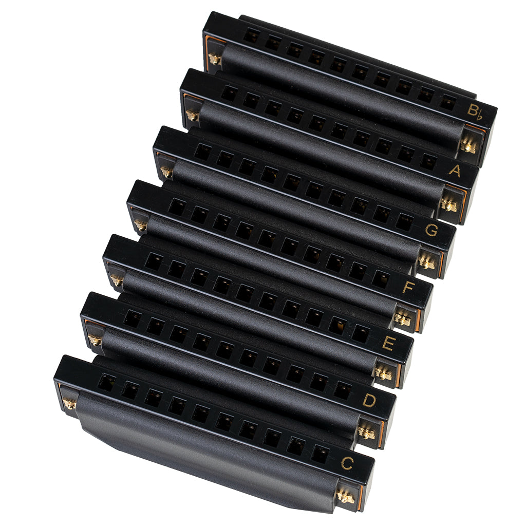 NAOMI SET 7PCS Piedmont Blues Harmonica 10 Holes Key Of C Harp With Case Mini Harmonica
