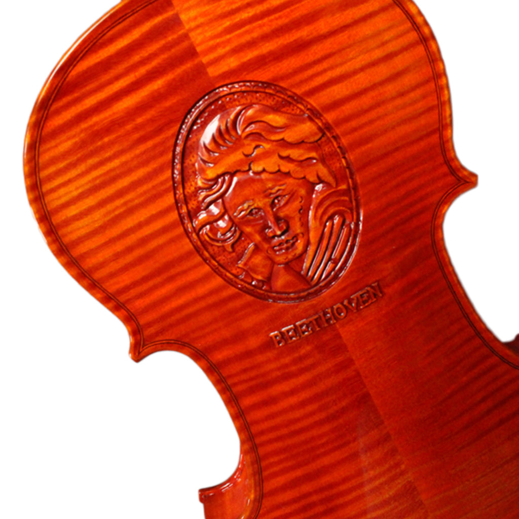 NAOMI Handmade Violin Pattern Graded Flamed Beethoven Carved Flamed Maple Back Spruce Top Beethoven Violin Ebony Fitting W/Bow Case