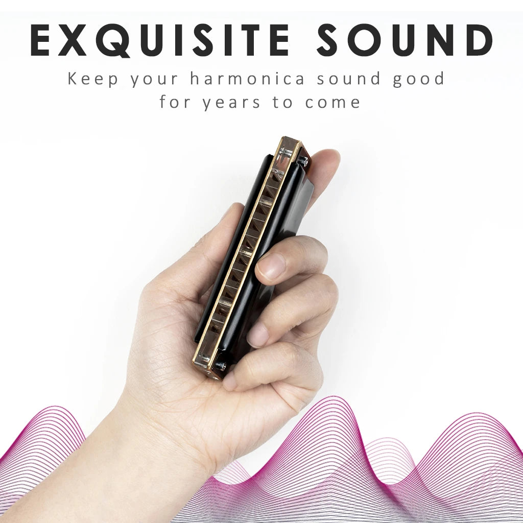 NAOMI Blues Harmonica According Key Of C 10 Holes Harmonica W/ Arcylic Comb Harmonica Black Case