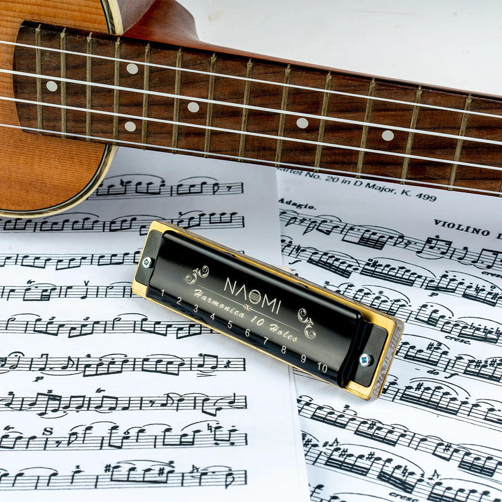 NAOMI Blues Harmonica According Key Of C 10 Holes Harmonica W/ Arcylic Comb Harmonica Black Case