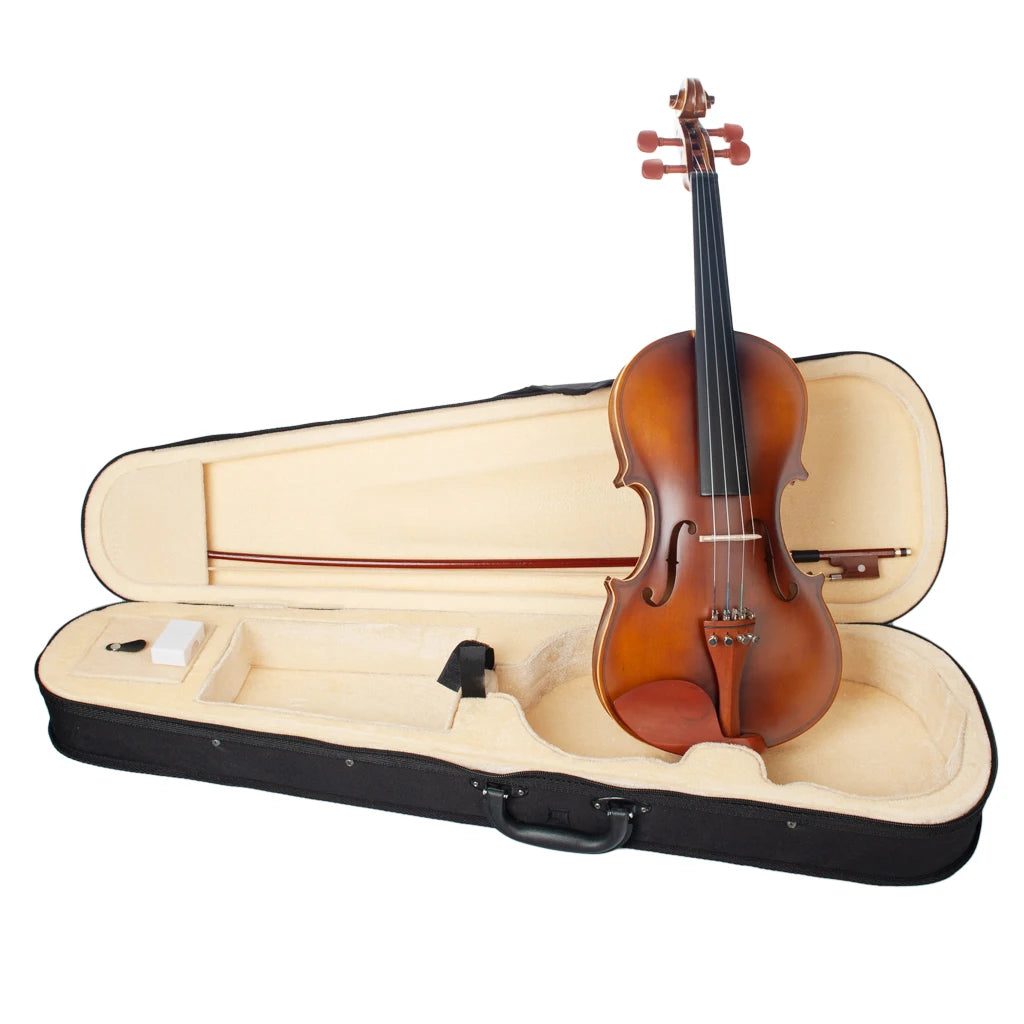 NAOMI Acoustic Violin 4/4 Full Size  Fiddle W/ Bow Case Bridge Jujube Wood Accessories