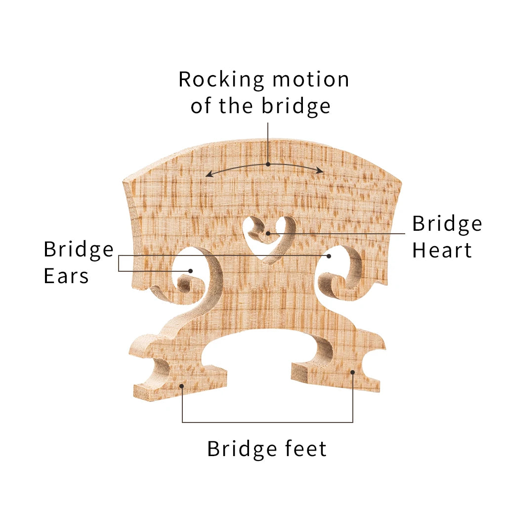 NAOMI 1PC- Maple Bridge Violin Bridge 4/4 3/4 1/2 1/4 1/8 Size Bridge Standard Violin Bridge
