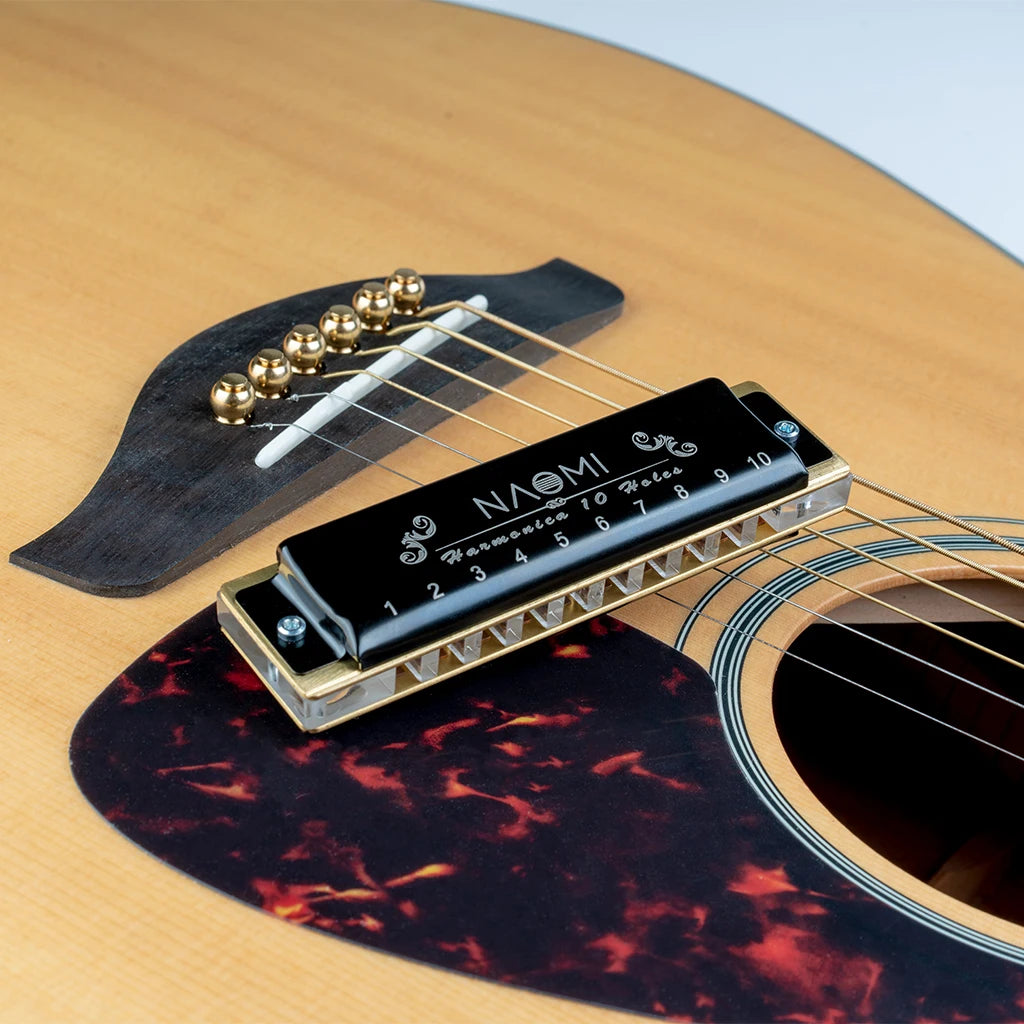 NAOMI Blues Harmonica According Key Of C 10 Holes Harmonica W/ Arcylic Comb Harmonica Black Case