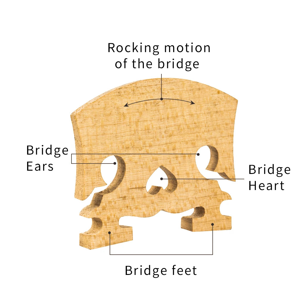 NAOMI 1PC-Maple Triditional 4/4 3/4 1/2 1/4 1/8 Size Violin Bridge Upside-Down Heart Baroque Violin Bridge