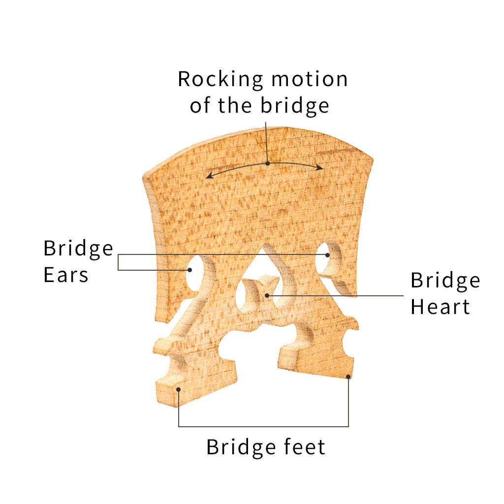 NAOMI 1PC-Maple Triditional 4/4 3/4 1/2 1/4 1/8 Violin Bridge Upside-Down Heart Baroque Violin Bridge