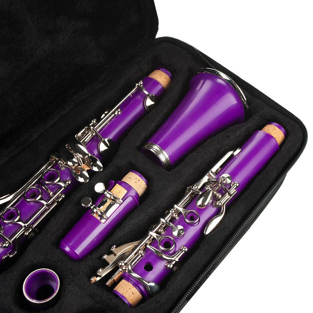 NAOMI 17-Key ABS Clarinet Bb Flat W/Case Gloves Cleaning Cloth Reed Case Reeds
