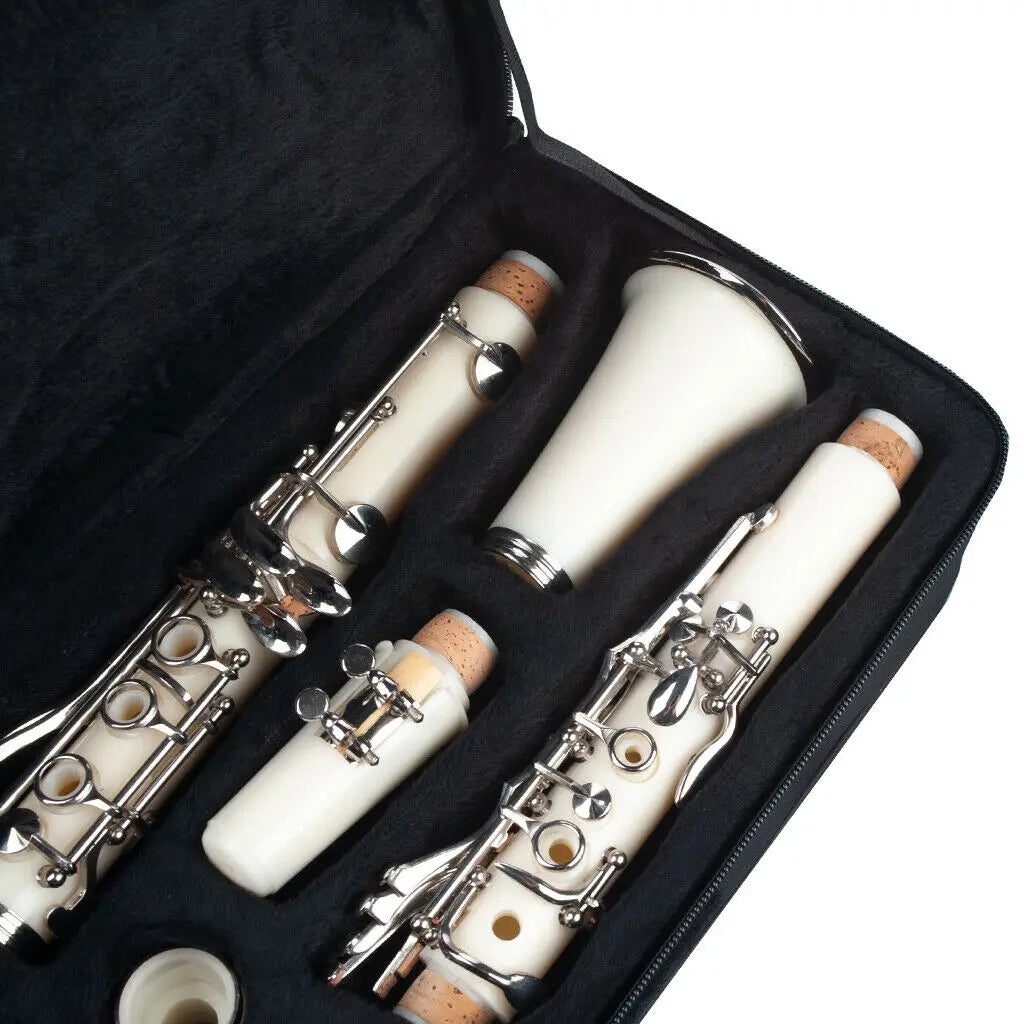 NAOMI 17-Key ABS Clarinet Bb Flat W/Case Gloves Cleaning Cloth Reed Case Reeds