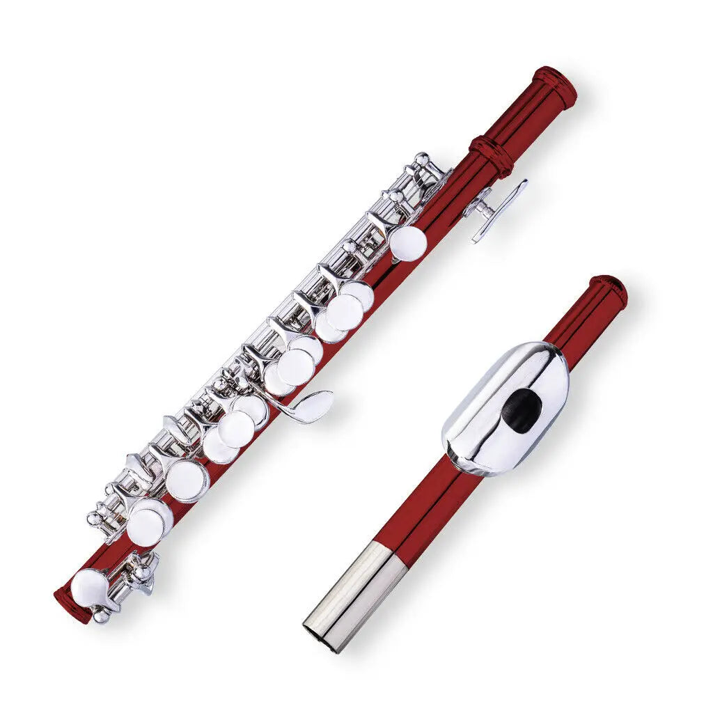 NAOMI Piccolo Key of C with Hard Case Cloth Cleaning Rod Top Quality Sound