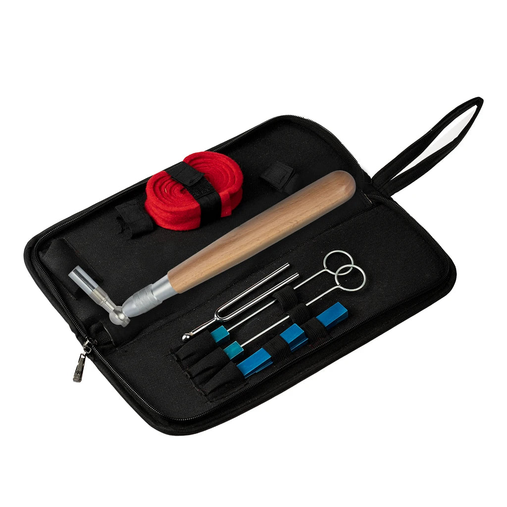 NAOMI Professional Portable Lever Piano Tuning Tuner Mute Kit Tools With Case Piano Tuning Lever Tools Kit Mute Wood Hammer SET