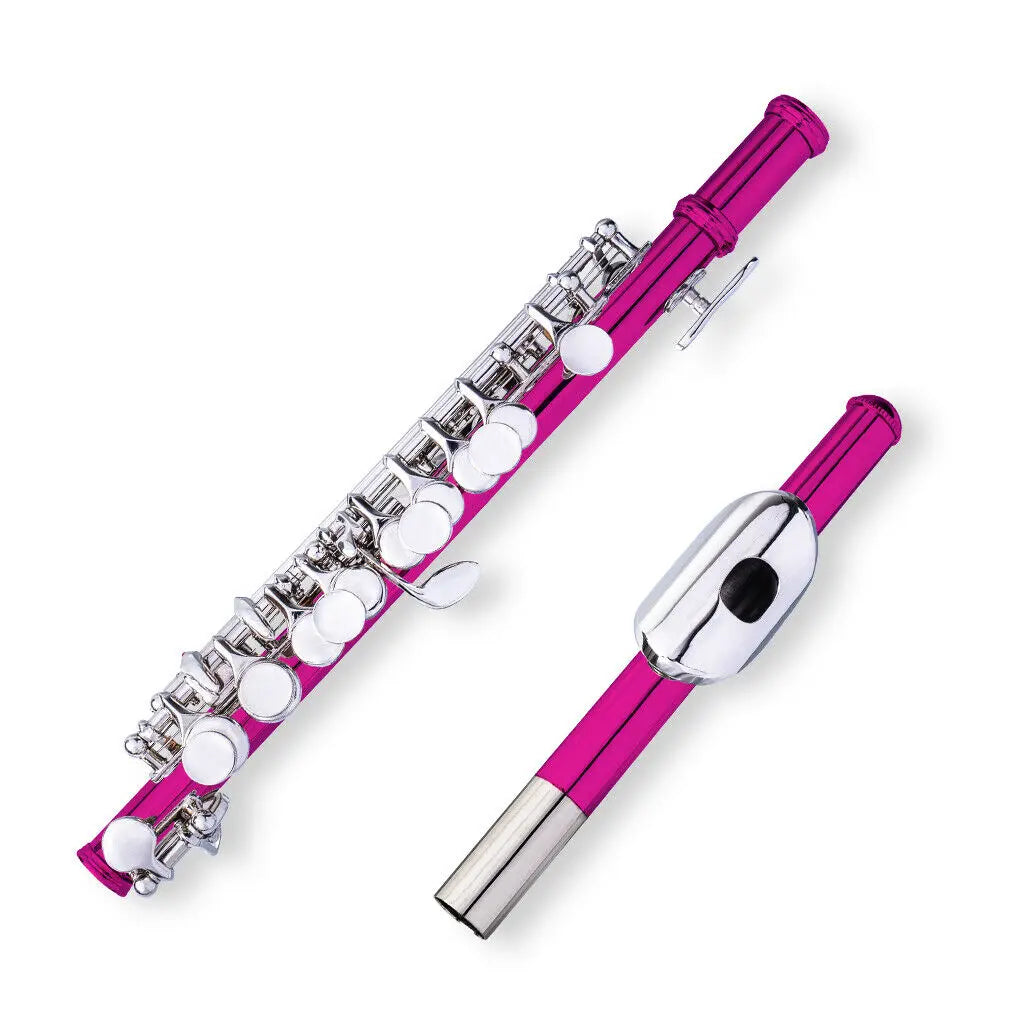 NAOMI Piccolo Key of C with Hard Case Cloth Cleaning Rod Top Quality Sound