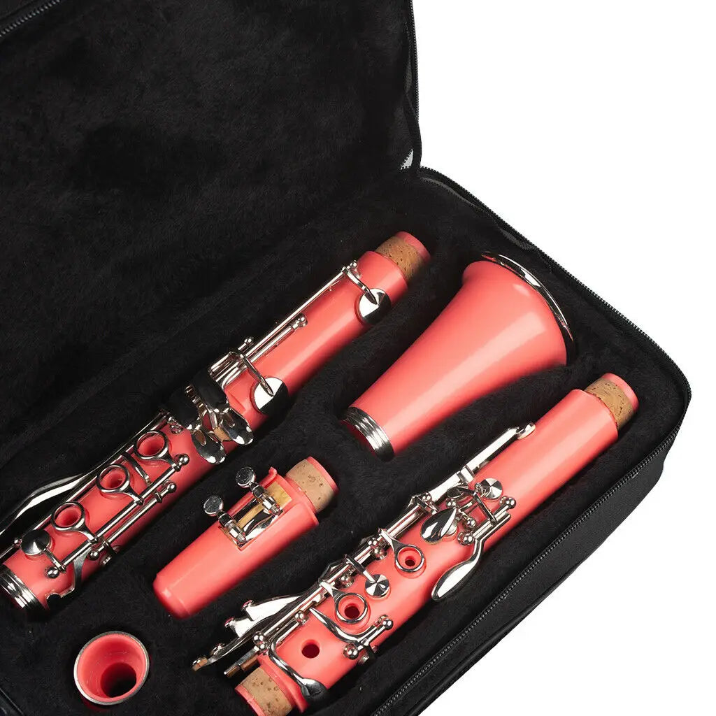 NAOMI 17-Key ABS Clarinet Bb Flat W/Case Gloves Cleaning Cloth Reed Case Reeds