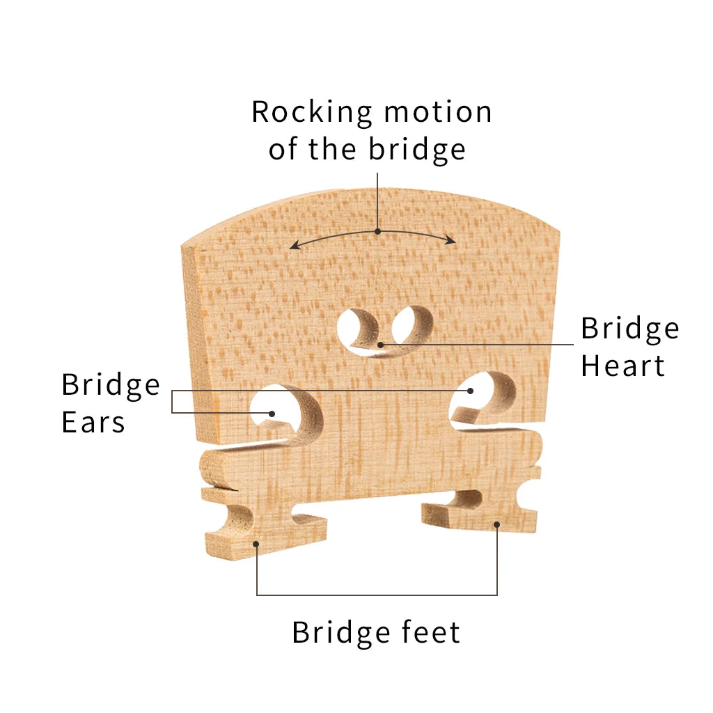 NAOMI 1 PC French Style Violin Bridges Fiddle Maple Wood 4/4-1/8 Size