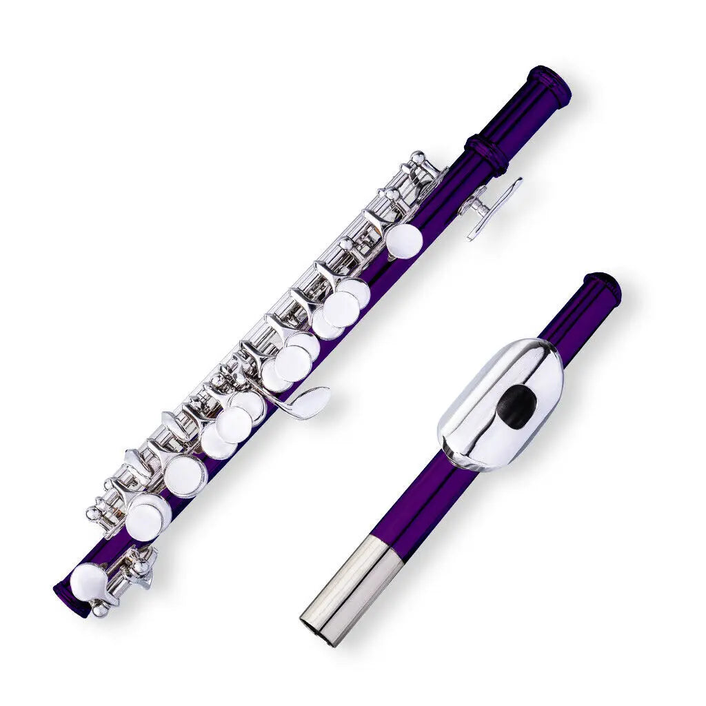 NAOMI Piccolo Key of C with Hard Case Cloth Cleaning Rod Top Quality Sound