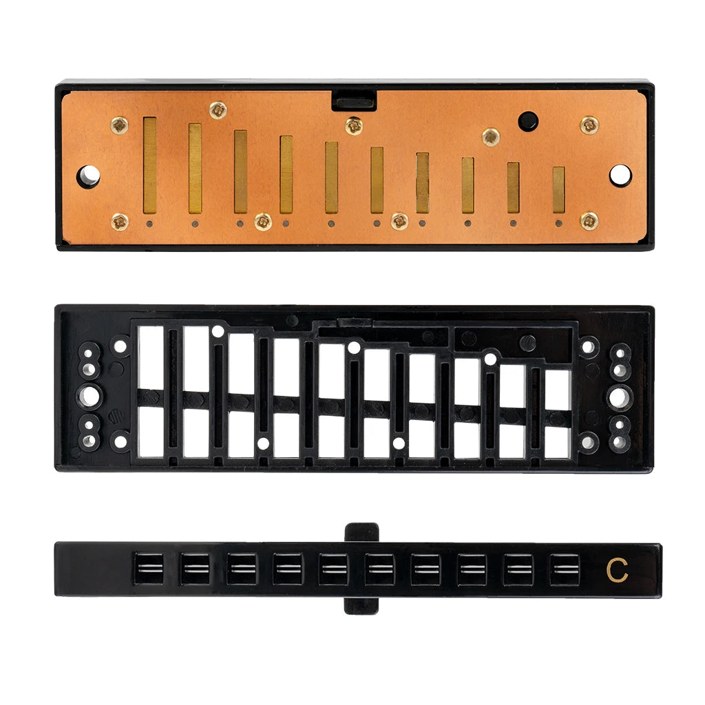 NAOMI SET 7PCS Piedmont Blues Harmonica 10 Holes Key Of C Harp With Case Mini Harmonica