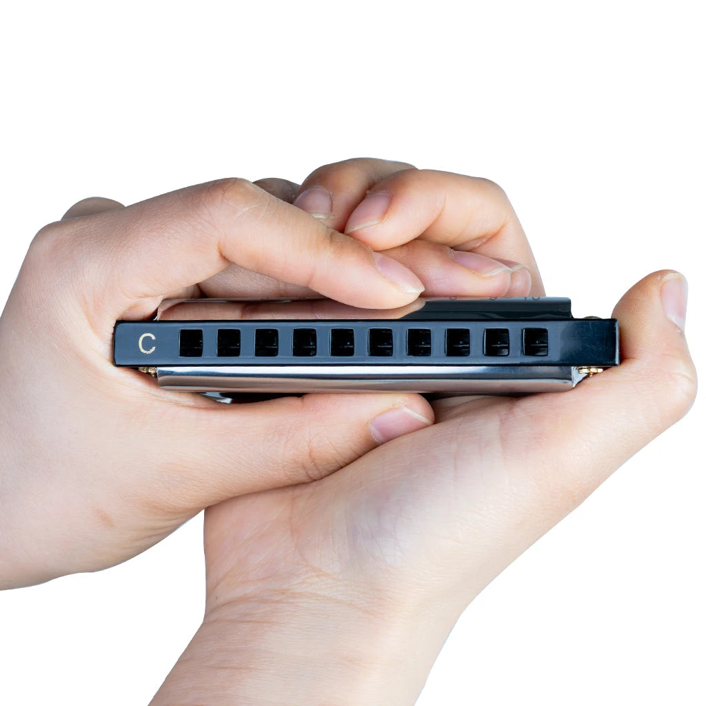 NAOMI 7PCS Harmonica 10 Holes Key Of C Blues Band Harmonica Set With Case C,D,E,F,G,A,Bb