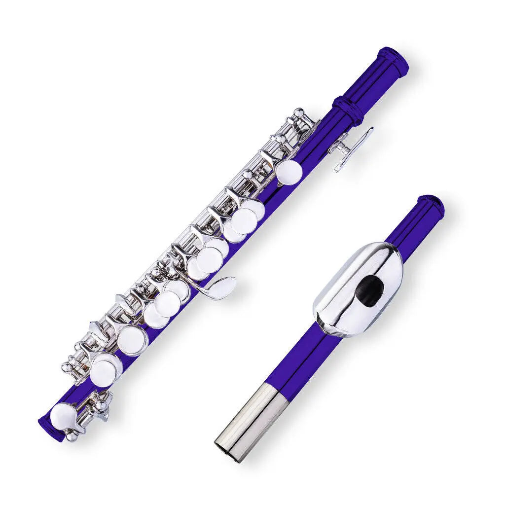 NAOMI Piccolo Key of C with Hard Case Cloth Cleaning Rod Top Quality Sound