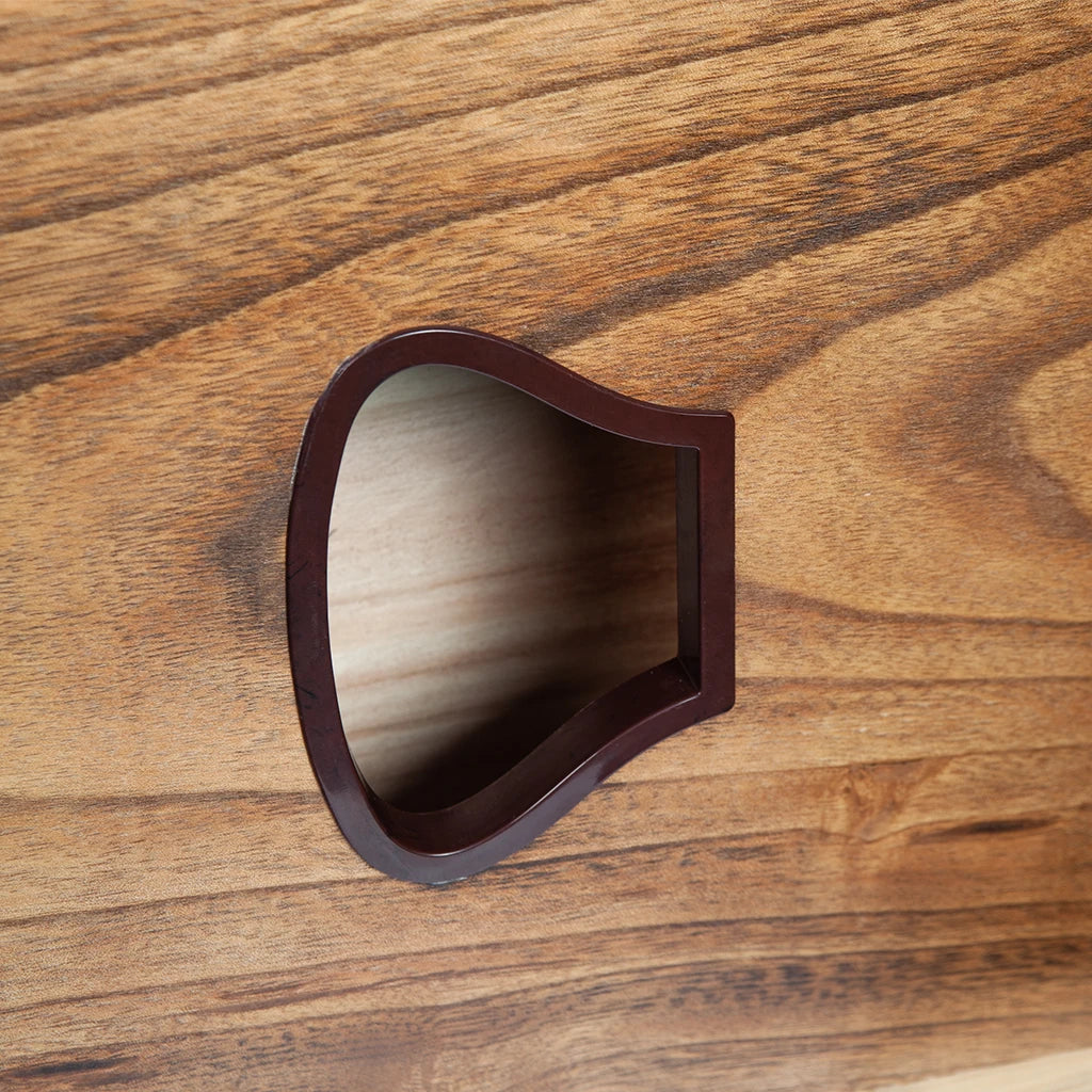 NAOMI  Advanced Chinese Zither 21 String Black Sandalwood Guzheng Instrument Gu Zheng Chinese Harp