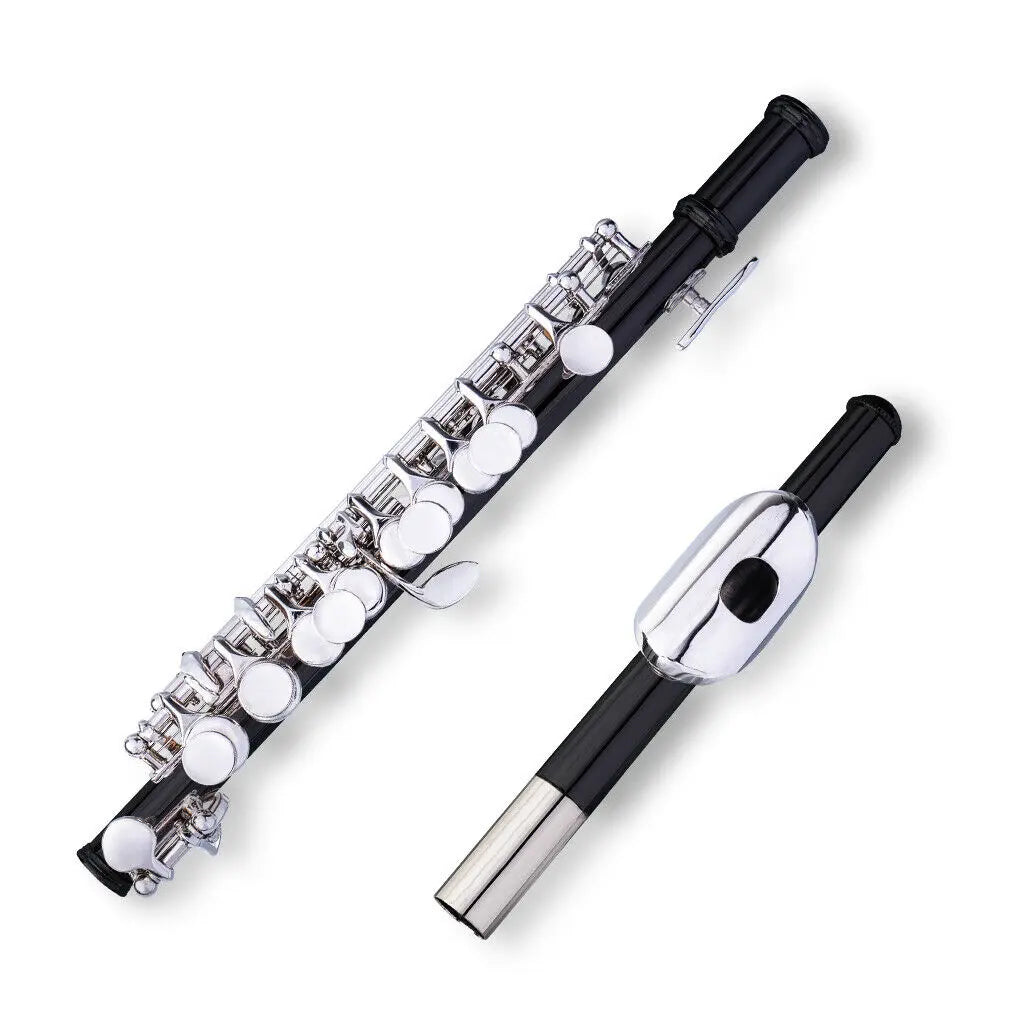 NAOMI Piccolo Key of C with Hard Case Cloth Cleaning Rod Top Quality Sound