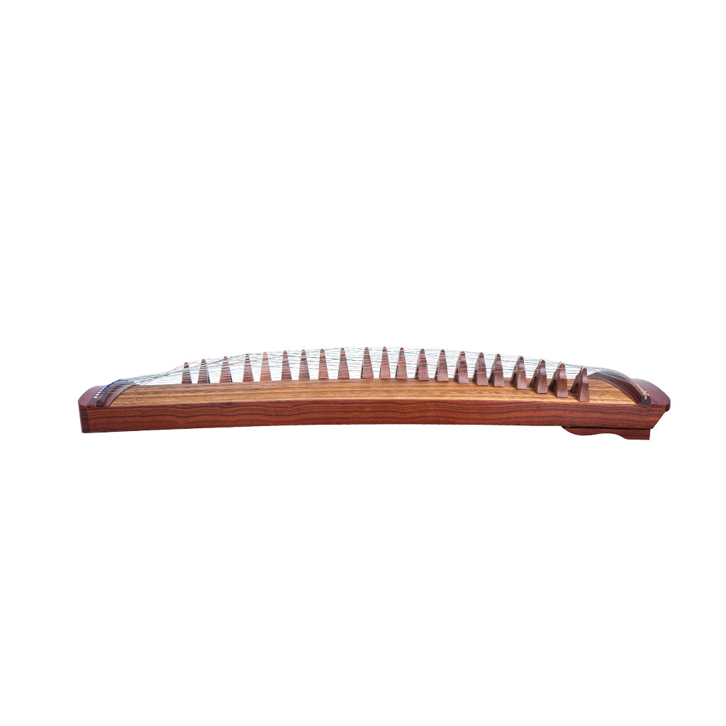 NAOMI Travel Guzheng Harp Chinese Lettering Zither 21 String Red Sandalwood Small Guzheng Musical Instrument