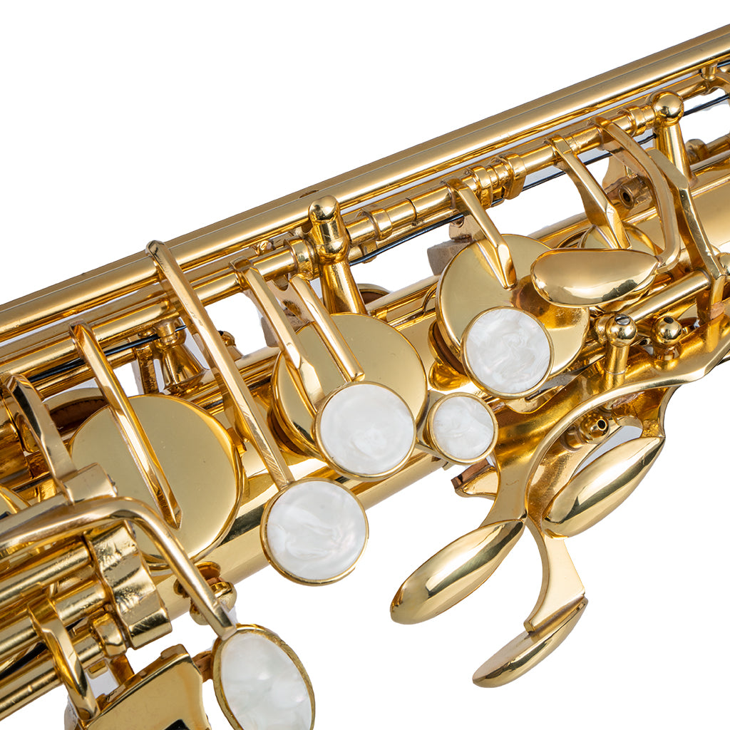 NAOMI Alto Eb Tune Saxophone Brass Gold Lacquer Sax With Case Mouthpiece 2.5 Alto Saxophone Reeds