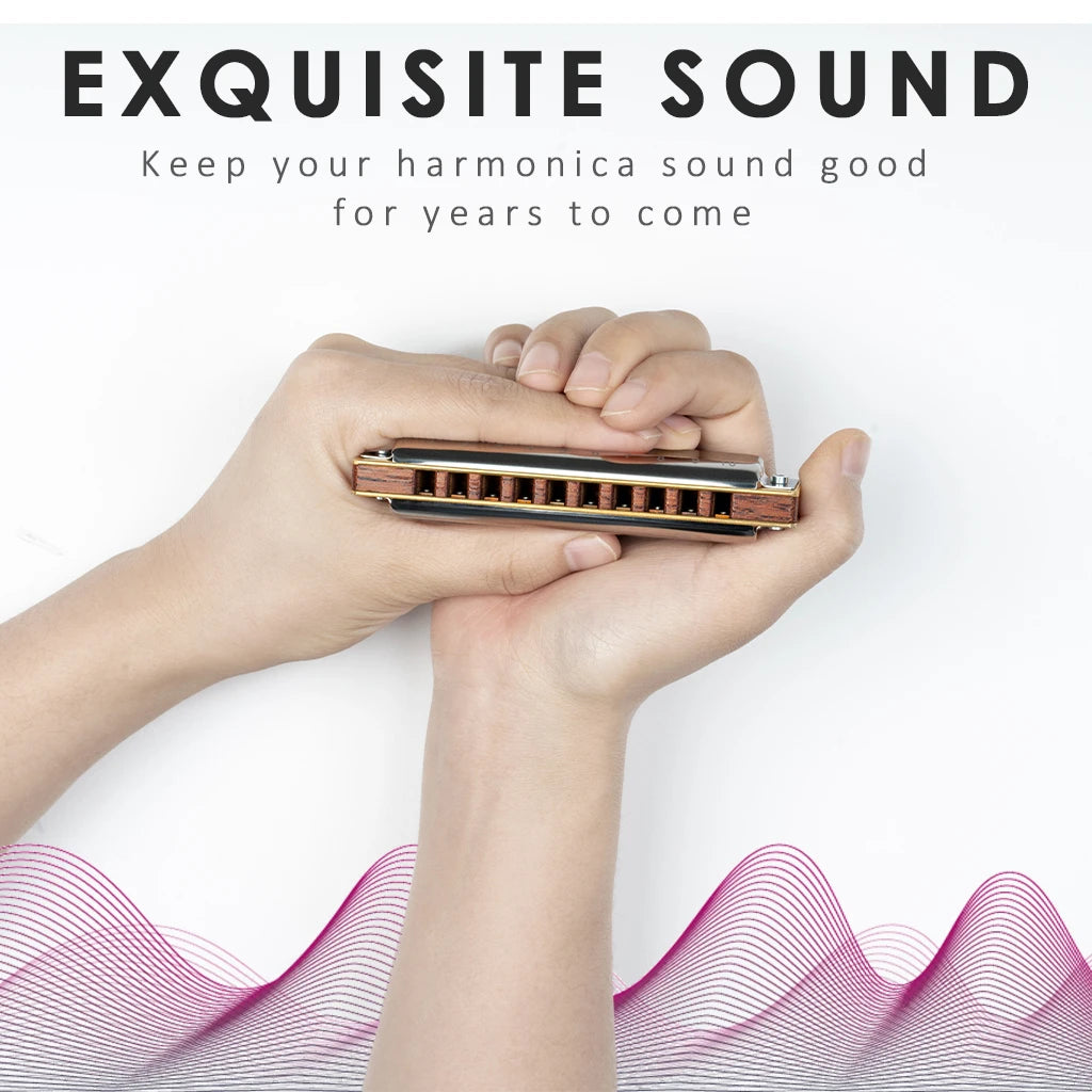 NAOMI 10 Holes Blues Harmonica Rosewood Comb Brass Reed Diatonic Harmonica In Key Of C