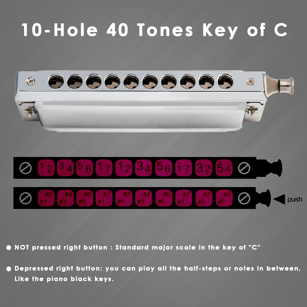 NAOMI Swan 10 Hole 40 Tone C Key Chromatic Harmonica Precision Engineered Sliding Stainless Steel Diacritical Keys